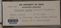 Image Associated With the Occurence